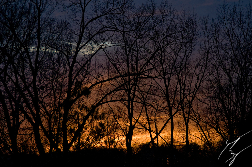 abstract-lines-at-sunset2