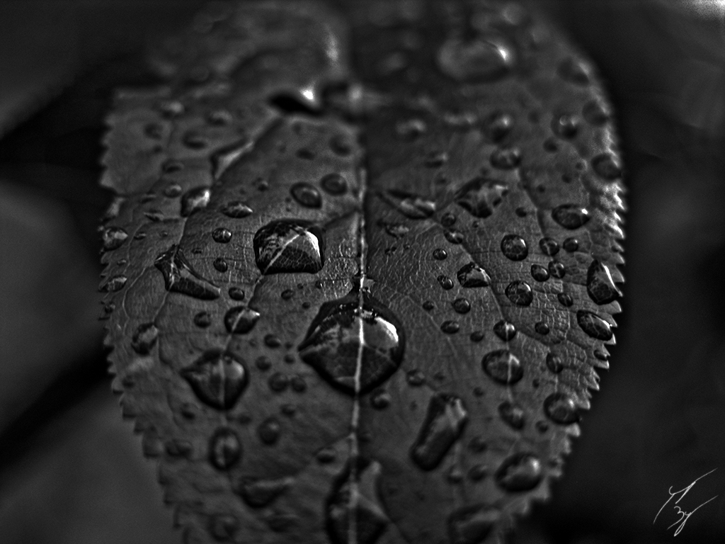 droplets__92931.1517013363